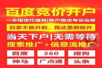 SEM竞价代运营实战技巧与案例